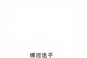 雨夜直播画面突然中断前的最后一帧